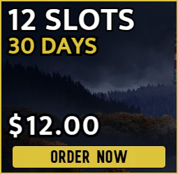 12 slot DayZ server for $12.00 billed monthly