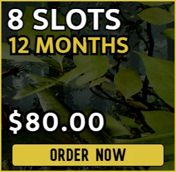 8 slot The Forest server for $80.00 billed yearly