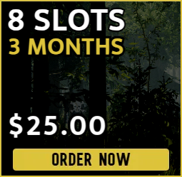 8 slot The Forest server for $25.00 billed every three months